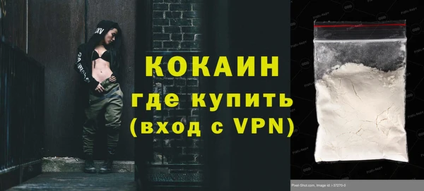 гашик Михайлов
