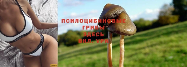 гашик Михайлов