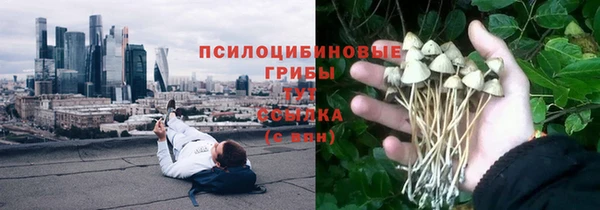 гашик Михайловка